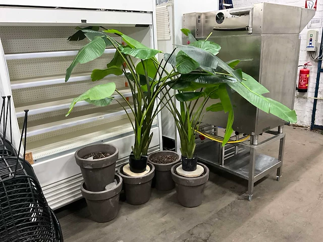 Kunst bananenplant in pot (2x) - afbeelding 1 van  7