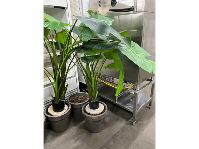 Kunst bananenplant in pot (2x) - afbeelding 3 van  7