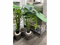 Kunst bananenplant in pot (2x) - afbeelding 3 van  7
