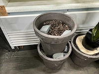 Kunst bananenplant in pot (2x) - afbeelding 5 van  7