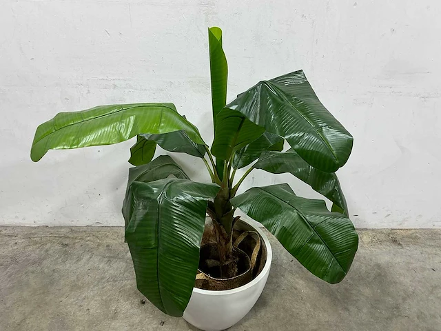 Kunst bananenplant met pot - afbeelding 2 van  3
