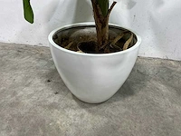 Kunst bananenplant met pot - afbeelding 3 van  3