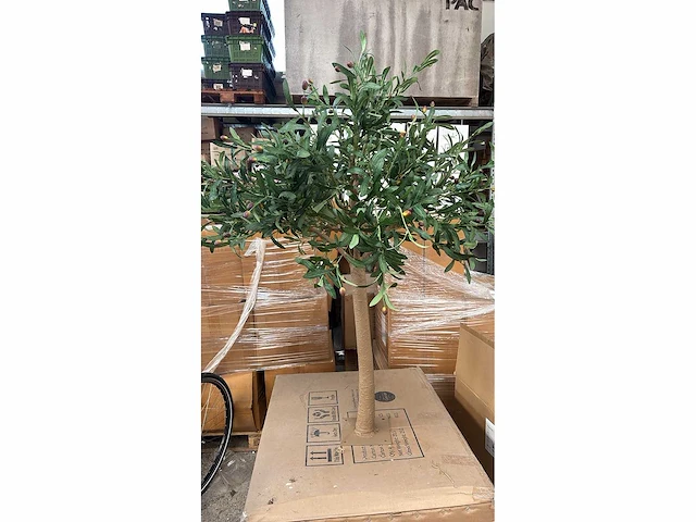 Kunst bomen - mix - kamerplant - afbeelding 2 van  15