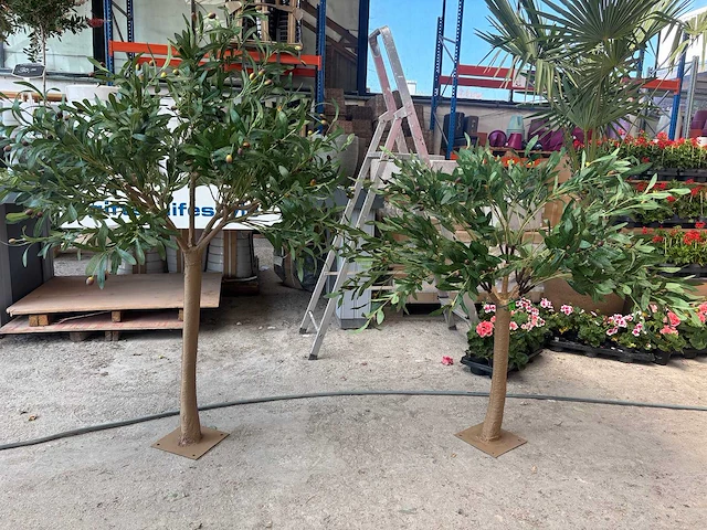 Kunst bomen - mix - kamerplant - afbeelding 4 van  15