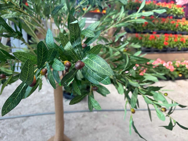 Kunst bomen - mix - kamerplant - afbeelding 6 van  15
