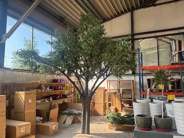 Kunst bomen - mix - kamerplant - afbeelding 1 van  15