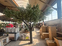 Kunst bomen - mix - kamerplant - afbeelding 7 van  15
