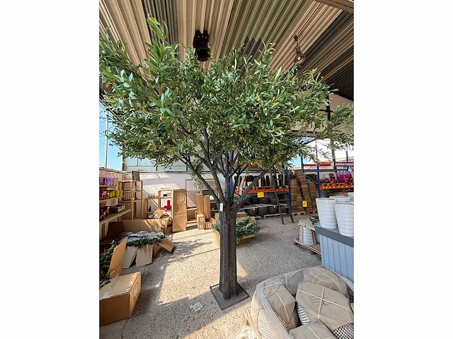 Kunst bomen - mix - kamerplant - afbeelding 11 van  15