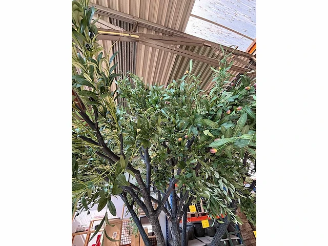 Kunst bomen - mix - kamerplant - afbeelding 12 van  15
