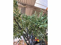 Kunst bomen - mix - kamerplant - afbeelding 12 van  15
