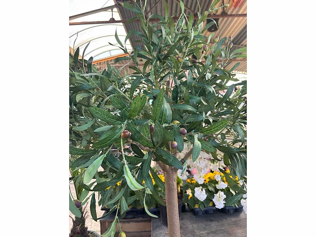 Kunst bomen - mix - kamerplant - afbeelding 14 van  15