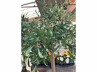 Kunst bomen - mix - kamerplant - afbeelding 14 van  15