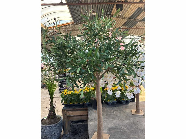 Kunst bomen - mix - kamerplant - afbeelding 15 van  15