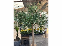 Kunst bomen - mix - kamerplant - afbeelding 15 van  15