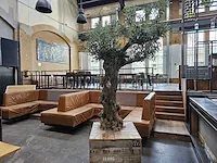 Kunst olijfboom 320cm
