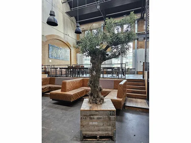 Kunst olijfboom 320cm - afbeelding 2 van  5