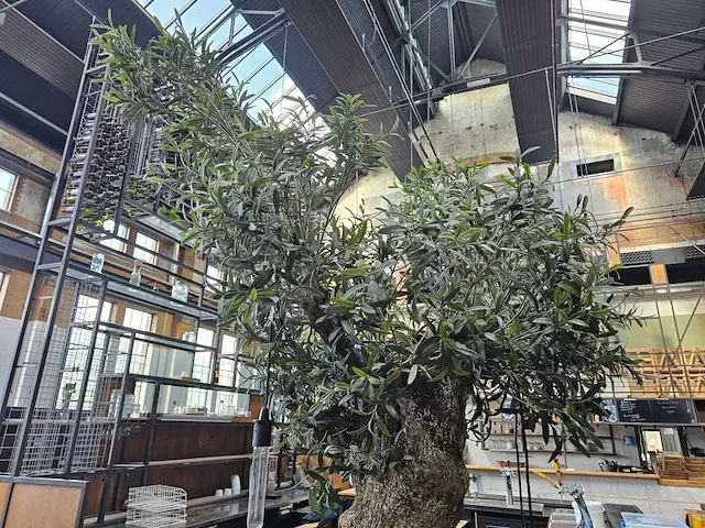 Kunst olijfboom 320cm - afbeelding 4 van  5