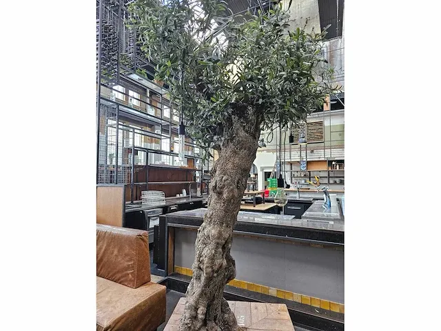 Kunst olijfboom 320cm - afbeelding 5 van  5