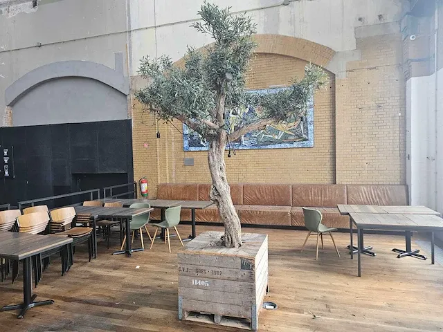 Kunst olijfboom 320cm - afbeelding 1 van  5