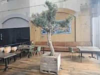 Kunst olijfboom 320cm