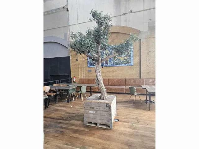 Kunst olijfboom 320cm - afbeelding 2 van  5