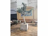 Kunst olijfboom 320cm - afbeelding 2 van  5