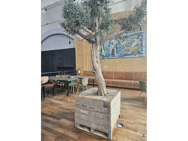 Kunst olijfboom 320cm - afbeelding 4 van  5
