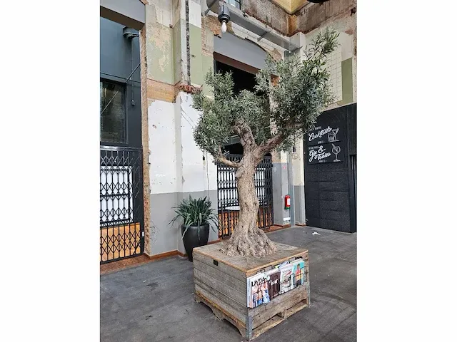 Kunst olijfboom 340cm - afbeelding 2 van  7