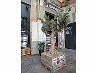 Kunst olijfboom 340cm - afbeelding 2 van  7