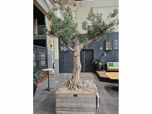 Kunst olijfboom 340cm - afbeelding 3 van  7