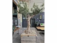 Kunst olijfboom 340cm - afbeelding 3 van  7