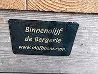 Kunst olijfboom 340cm - afbeelding 5 van  7