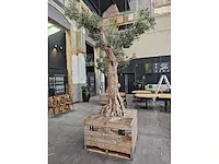 Kunst olijfboom 340cm - afbeelding 3 van  9