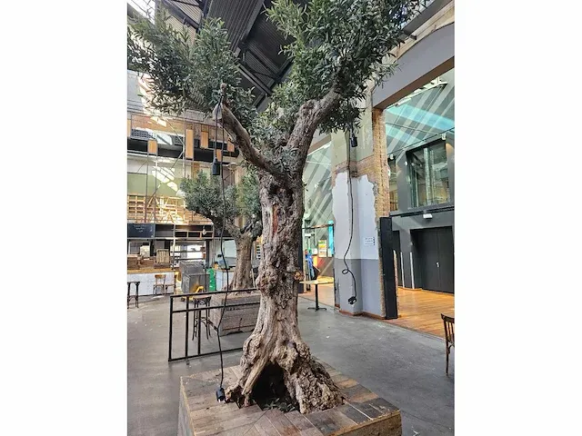Kunst olijfboom 340cm - afbeelding 7 van  9