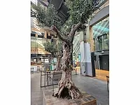 Kunst olijfboom 340cm - afbeelding 7 van  9