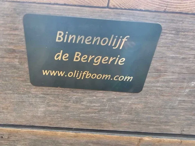 Kunst olijfboom 340cm - afbeelding 8 van  9