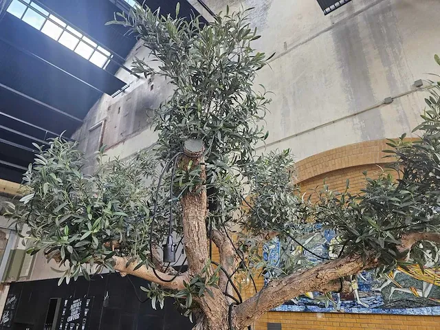 Kunst olijfboom 340cm - afbeelding 9 van  9