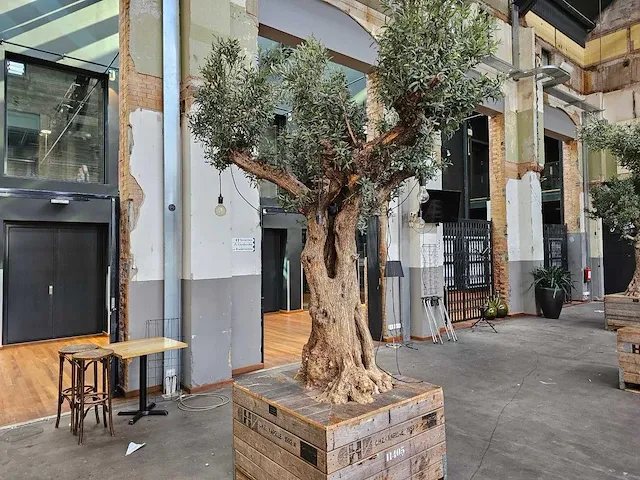 Kunst olijfboom 340cm - afbeelding 1 van  5
