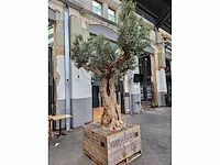 Kunst olijfboom 340cm - afbeelding 2 van  5