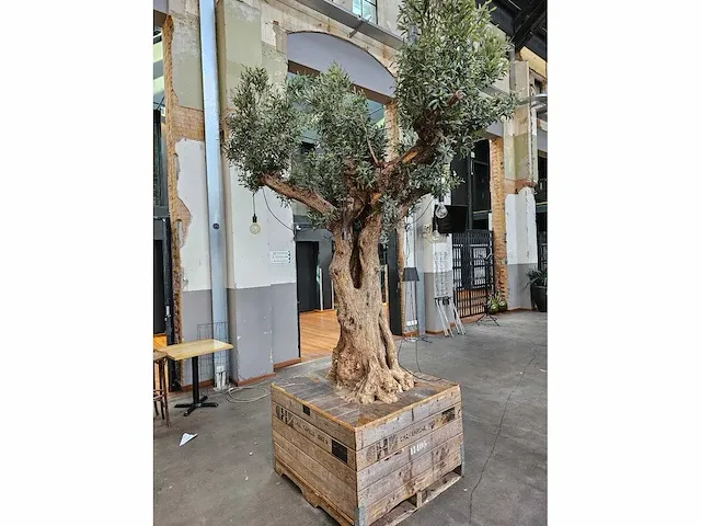 Kunst olijfboom 340cm - afbeelding 3 van  5