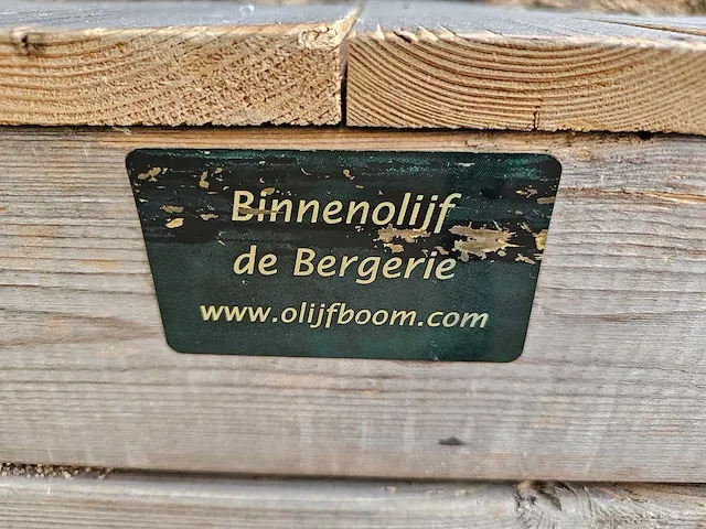 Kunst olijfboom 340cm - afbeelding 4 van  5