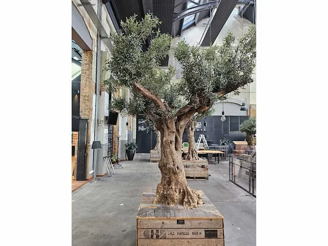 Kunst olijfboom 340cm - afbeelding 5 van  5