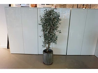 Kunst olijfboom - afbeelding 1 van  4
