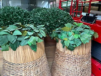 Kunst plant in hoge pot (2x) - afbeelding 4 van  5