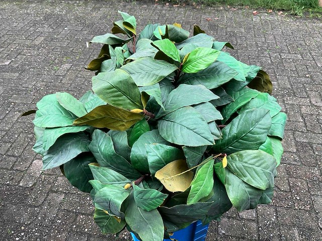 Kunst plant in hoge pot (2x) - afbeelding 5 van  5