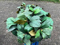 Kunst plant in hoge pot (2x) - afbeelding 5 van  5