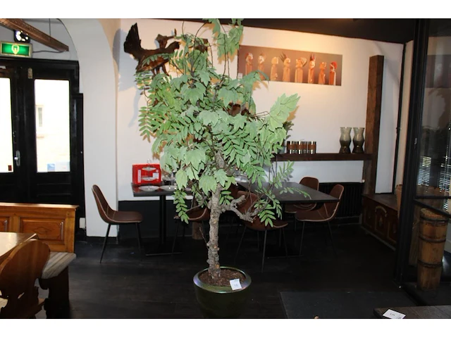 Kunstboom in pot, hoogte ca. 240 cm. - afbeelding 1 van  3