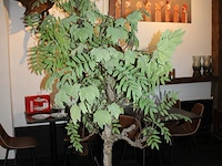 Kunstboom in pot, hoogte ca. 240 cm. - afbeelding 2 van  3