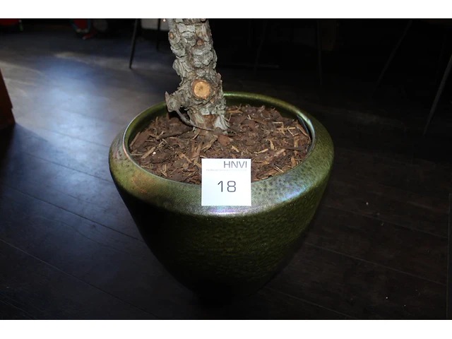 Kunstboom in pot, hoogte ca. 240 cm. - afbeelding 3 van  3