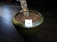 Kunstboom in pot, hoogte ca. 240 cm. - afbeelding 3 van  3